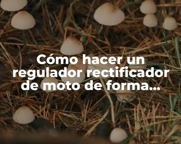 Cómo hacer un regulador rectificador de moto de forma casera
