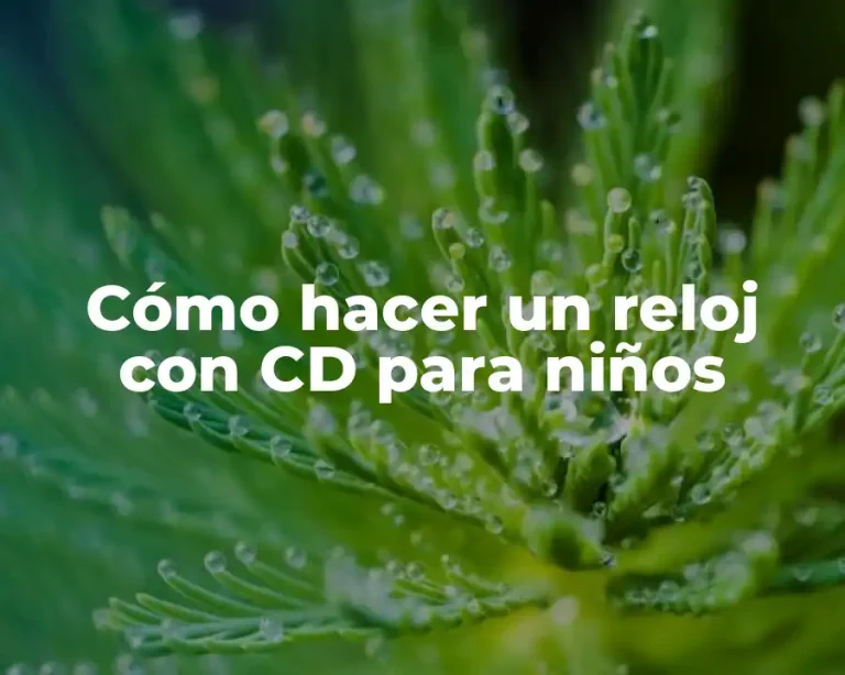 Cómo hacer un reloj con CD para niños