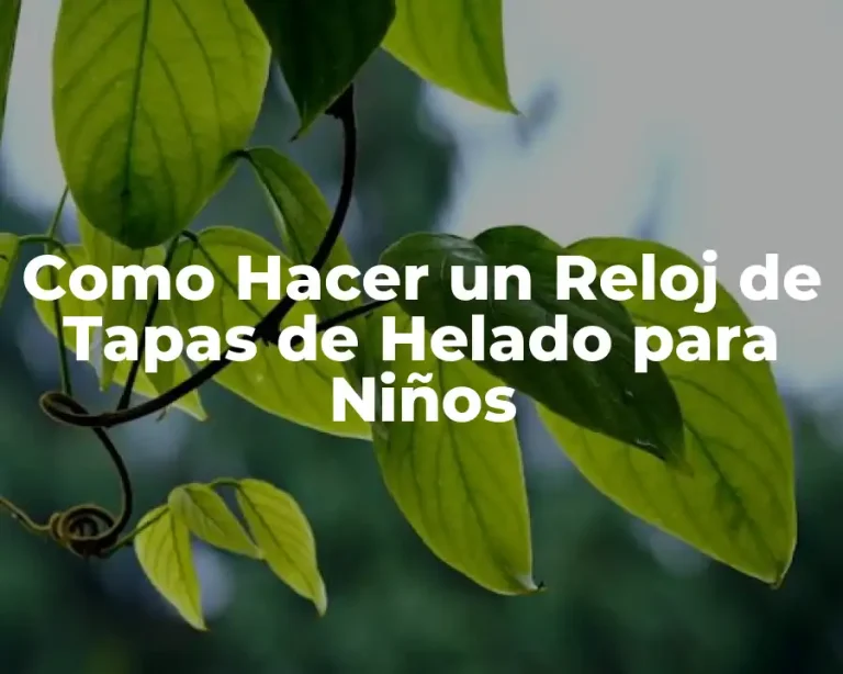 Como Hacer un Reloj de Tapas de Helado para Niños