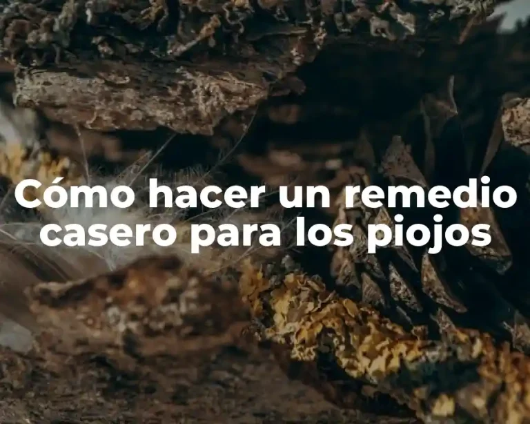Cómo hacer un remedio casero para los piojos