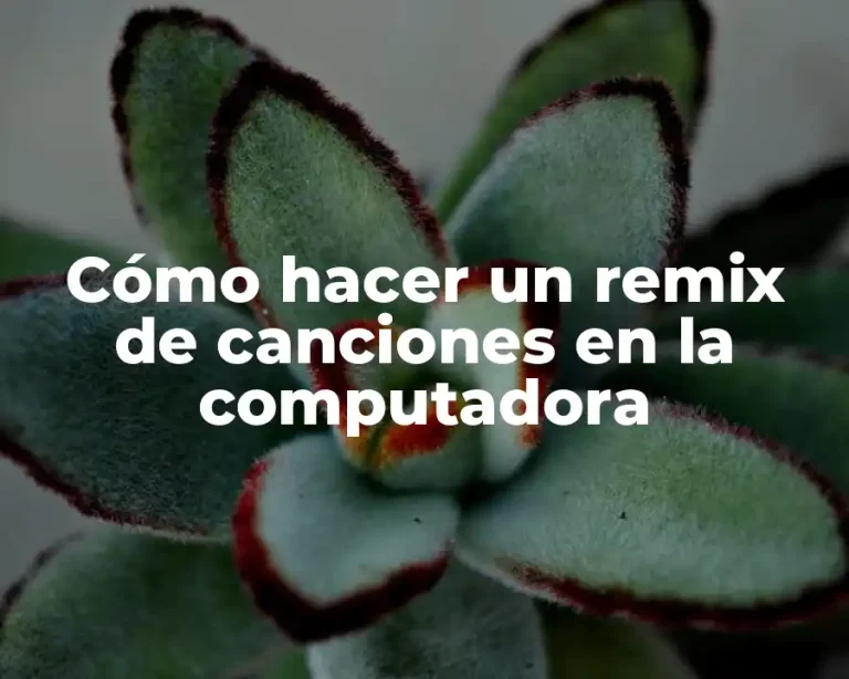 Cómo hacer un remix de canciones en la computadora