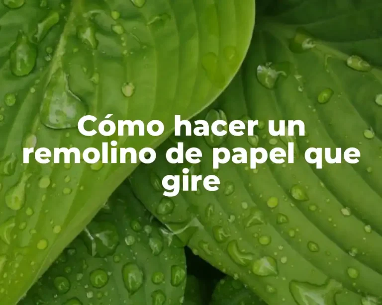 Cómo hacer un remolino de papel que gire
