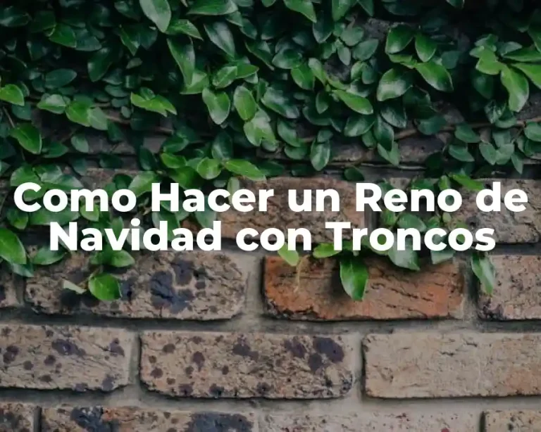 Como Hacer un Reno de Navidad con Troncos