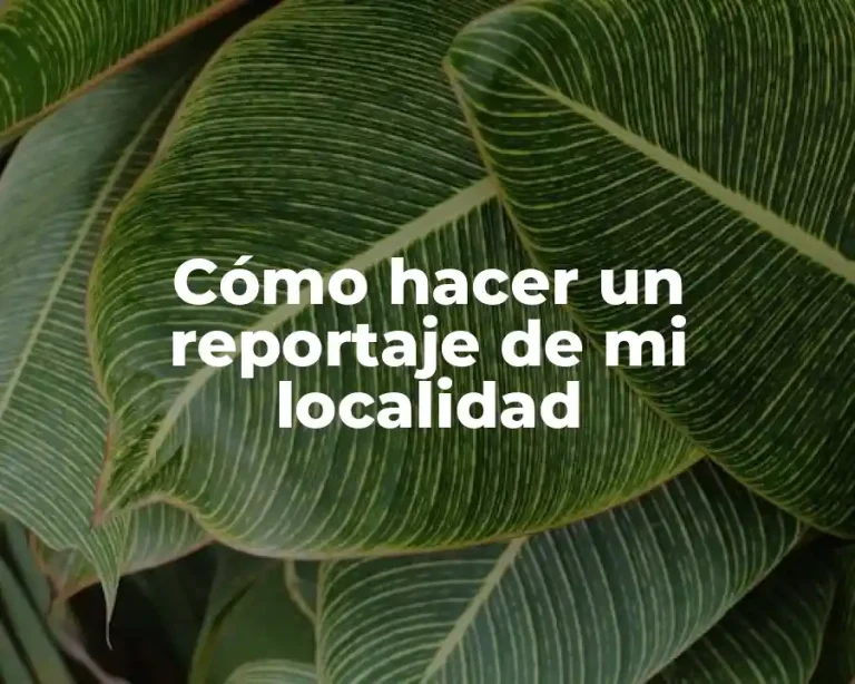 Cómo hacer un reportaje de mi localidad