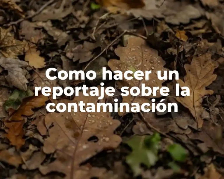 Como hacer un reportaje sobre la contaminación
