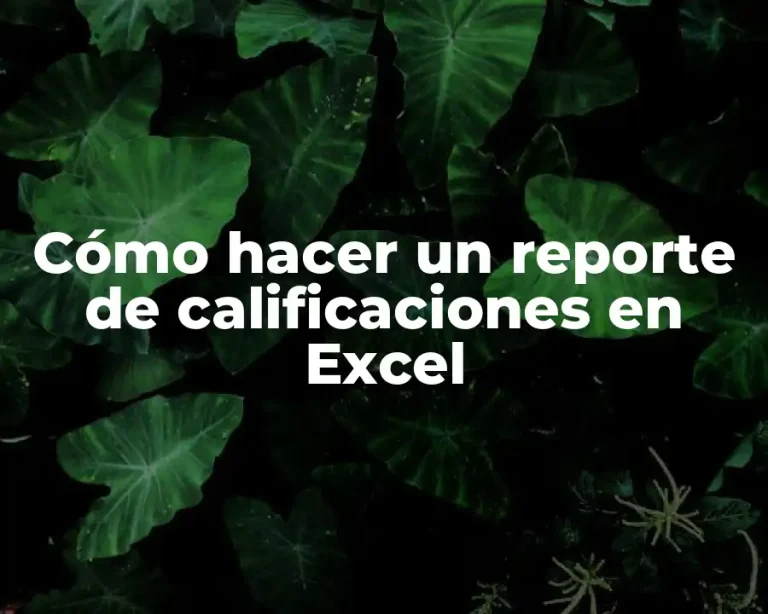 Cómo hacer un reporte de calificaciones en Excel