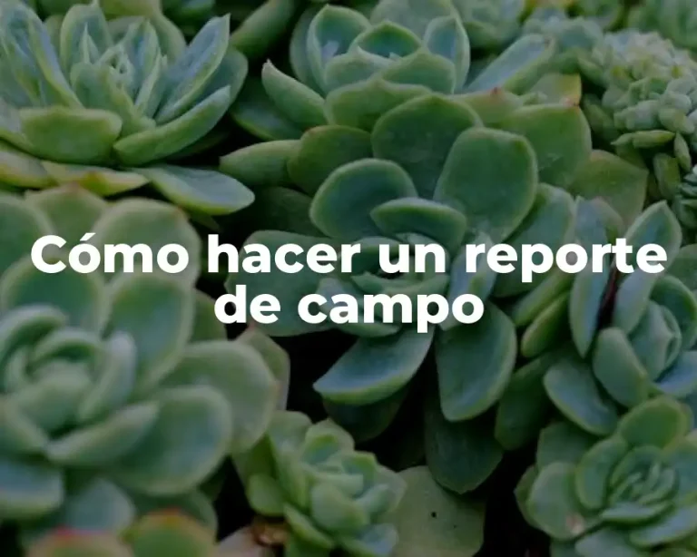 Cómo hacer un reporte de campo