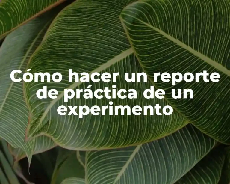 Cómo hacer un reporte de práctica de un experimento
