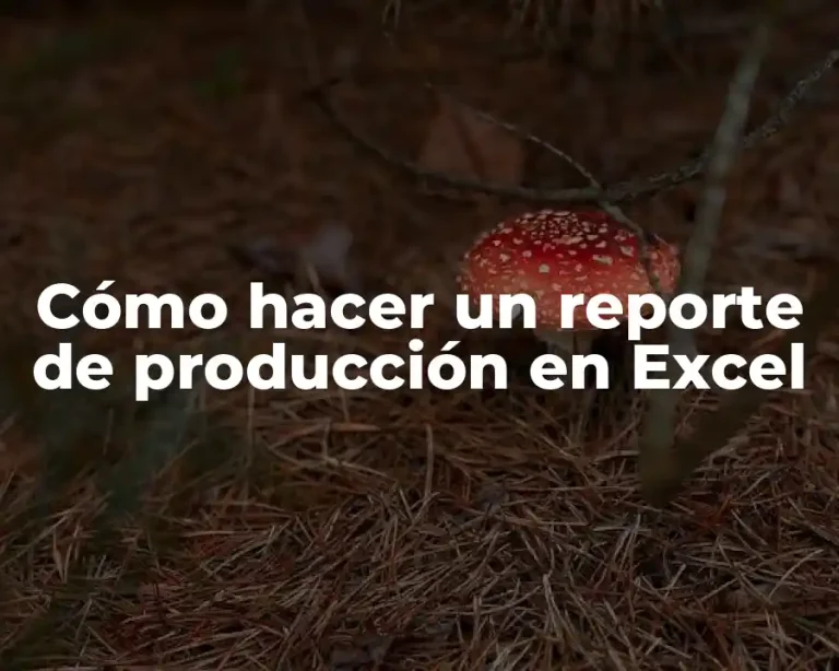 Cómo hacer un reporte de producción en Excel