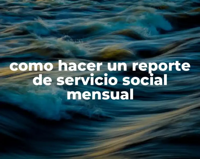 como hacer un reporte de servicio social mensual
