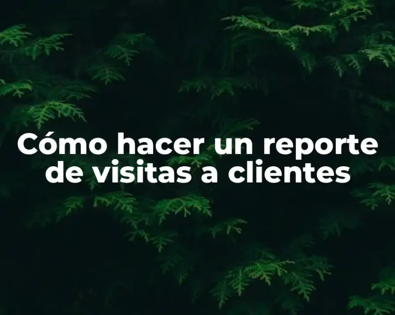 Cómo hacer un reporte de visitas a clientes