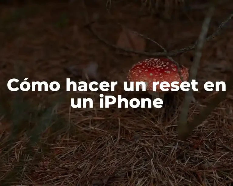 Cómo hacer un reset en un iPhone