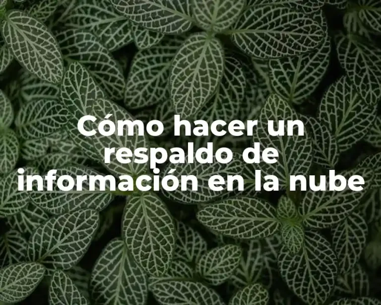 Cómo hacer un respaldo de información en la nube