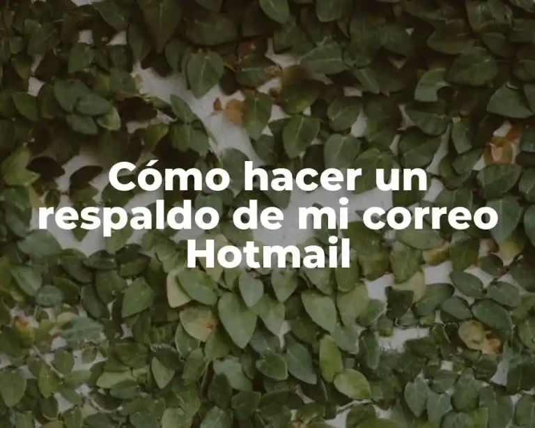 Cómo hacer un respaldo de mi correo Hotmail