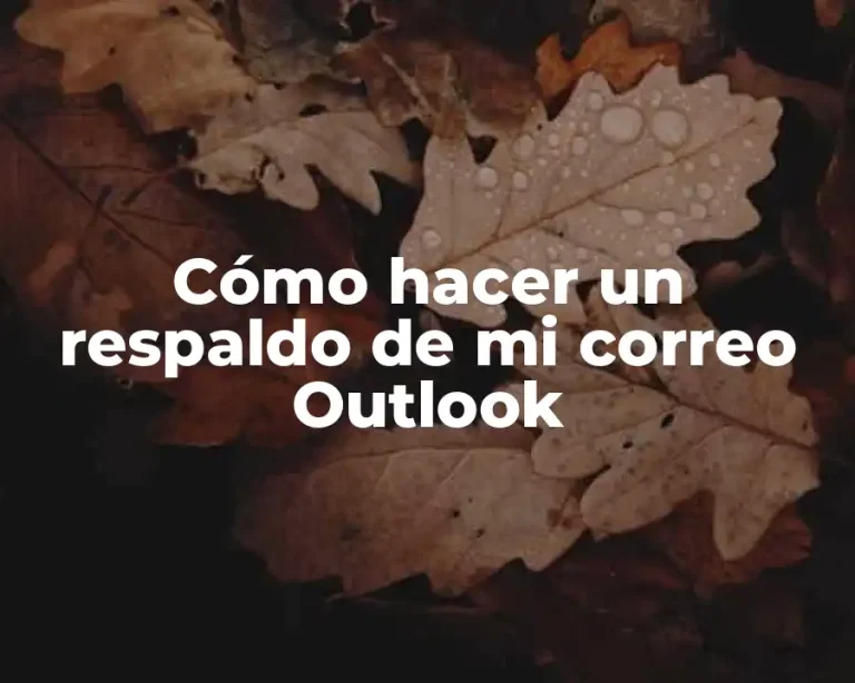 Cómo hacer un respaldo de mi correo Outlook