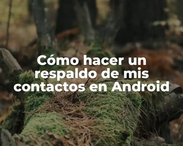 Cómo hacer un respaldo de mis contactos en Android