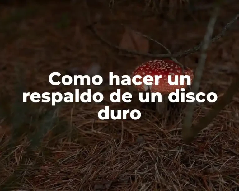 Como hacer un respaldo de un disco duro