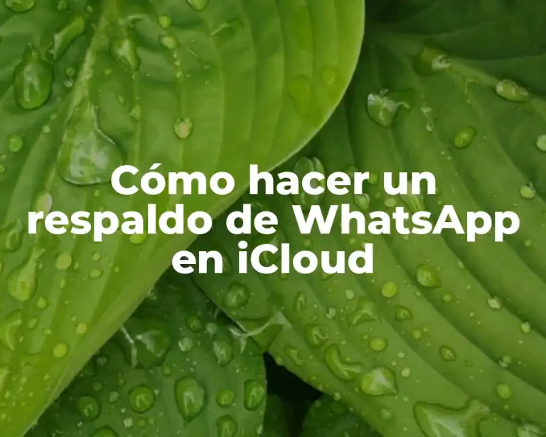 Cómo hacer un respaldo de WhatsApp en iCloud