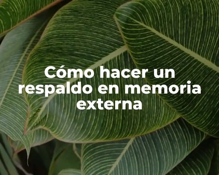 Cómo hacer un respaldo en memoria externa