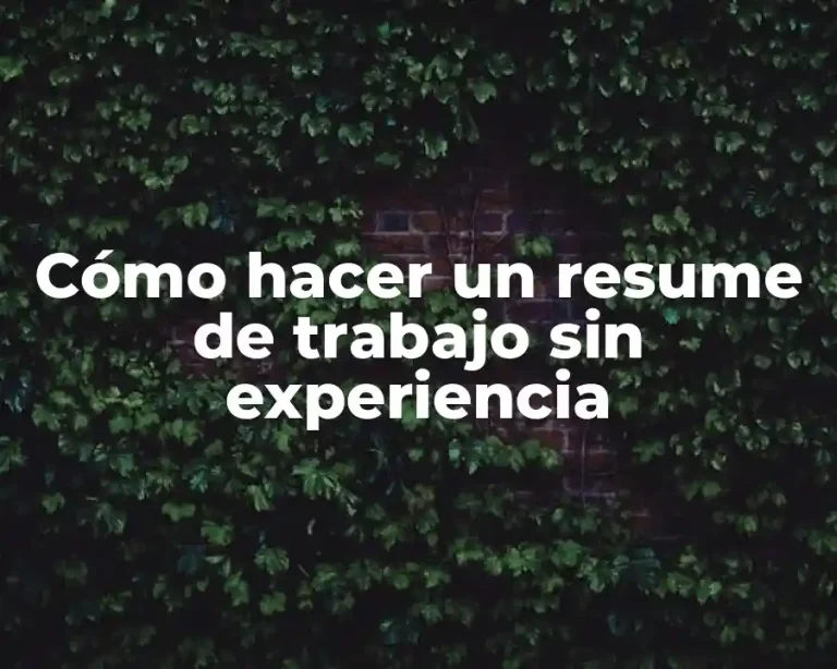 Cómo hacer un resume de trabajo sin experiencia