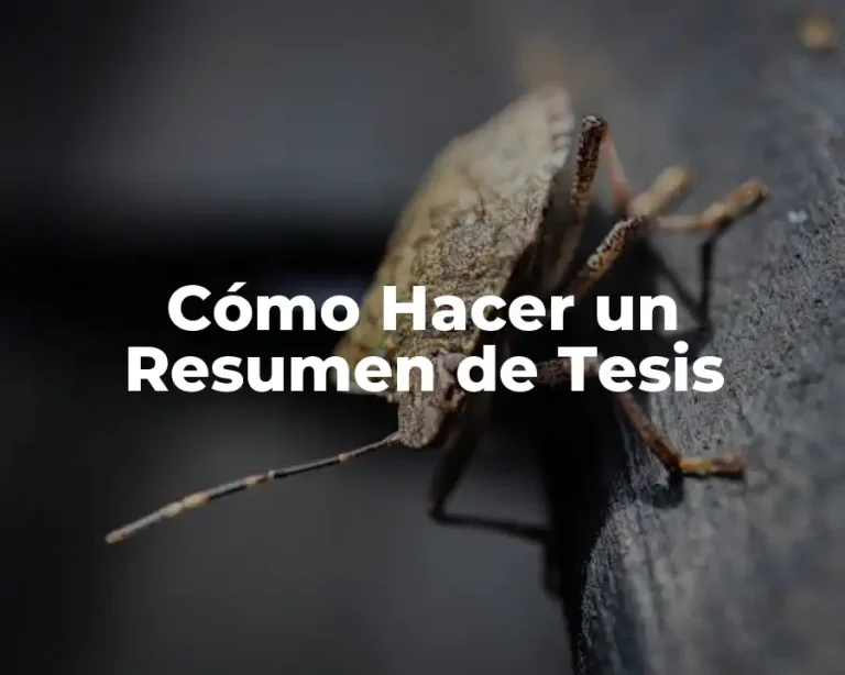 Cómo Hacer un Resumen de Tesis