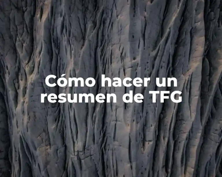 Cómo hacer un resumen de TFG