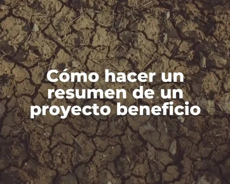 Cómo hacer un resumen de un proyecto beneficio