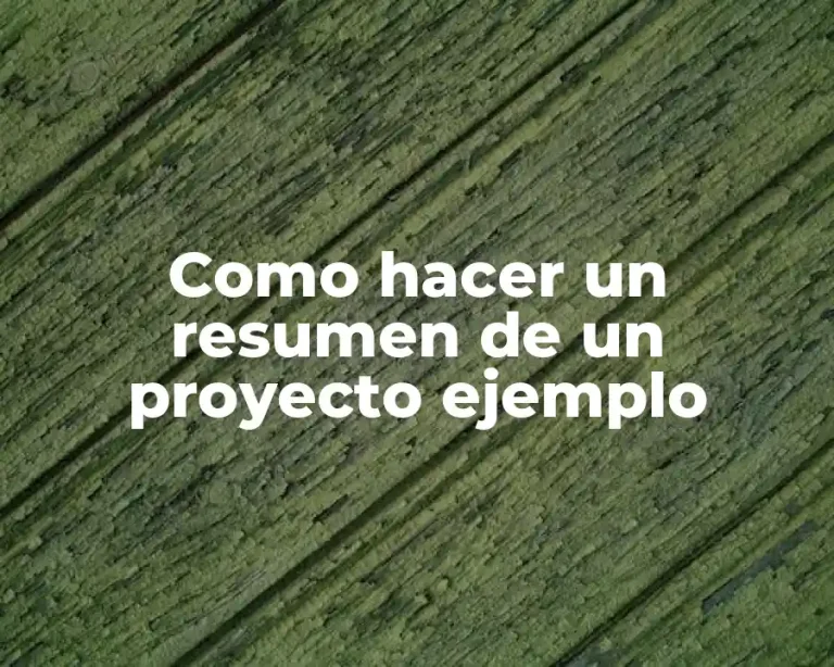 Como hacer un resumen de un proyecto ejemplo