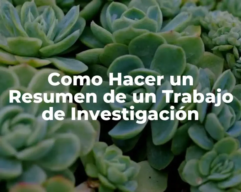 Como Hacer un Resumen de un Trabajo de Investigación