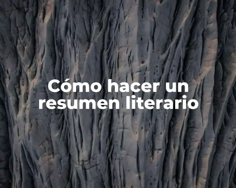 Cómo hacer un resumen literario