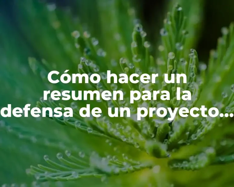 Cómo hacer un resumen para la defensa de un proyecto de grado