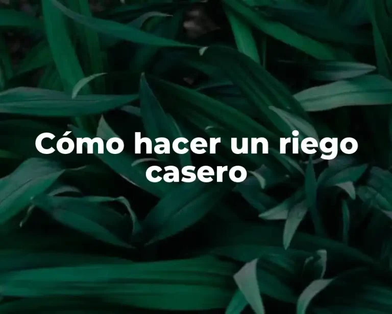 Cómo hacer un riego casero