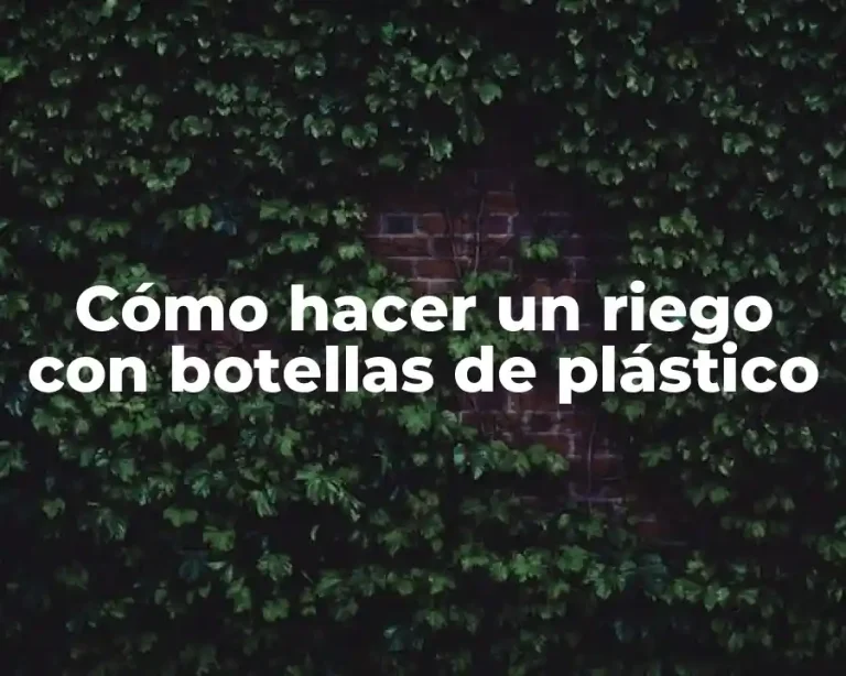 Cómo hacer un riego con botellas de plástico