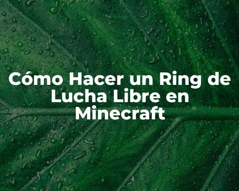 Cómo Hacer un Ring de Lucha Libre en Minecraft