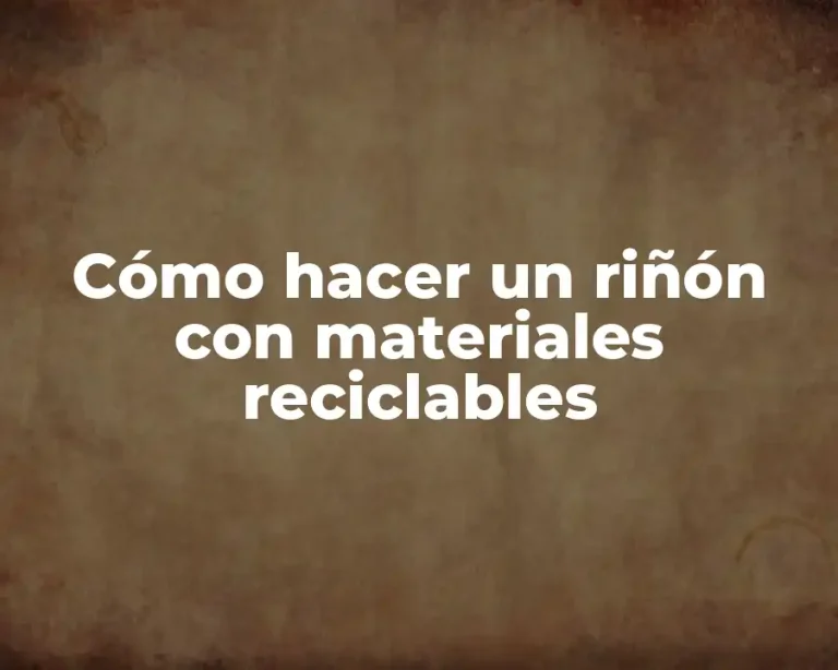 Cómo hacer un riñón con materiales reciclables