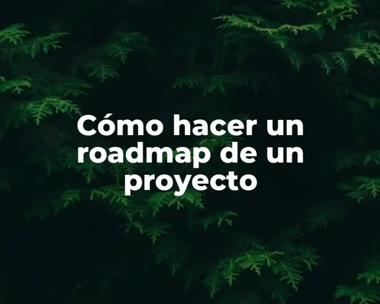 Cómo hacer un roadmap de un proyecto