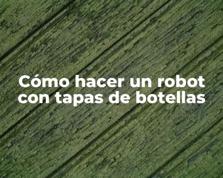 Cómo hacer un robot con tapas de botellas
