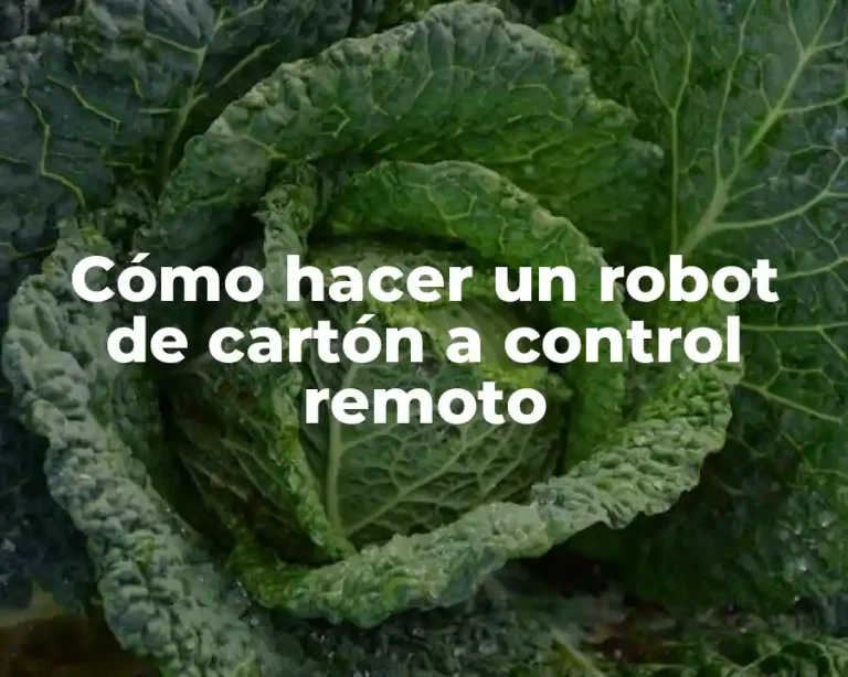 Cómo hacer un robot de cartón a control remoto