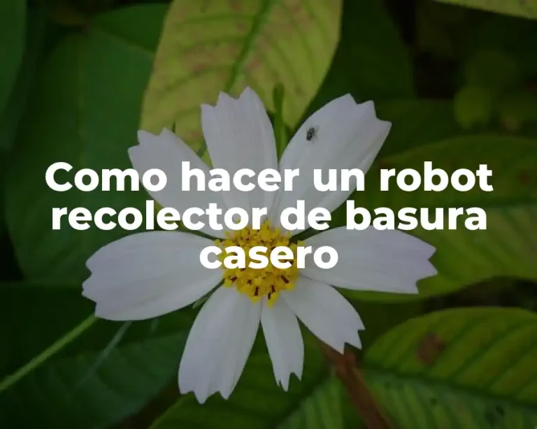 Como hacer un robot recolector de basura casero