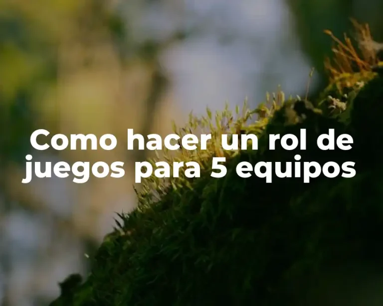 Como hacer un rol de juegos para 5 equipos