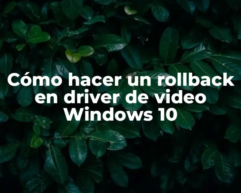 Cómo hacer un rollback en driver de video Windows 10