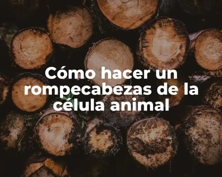 Cómo hacer un rompecabezas de la célula animal
