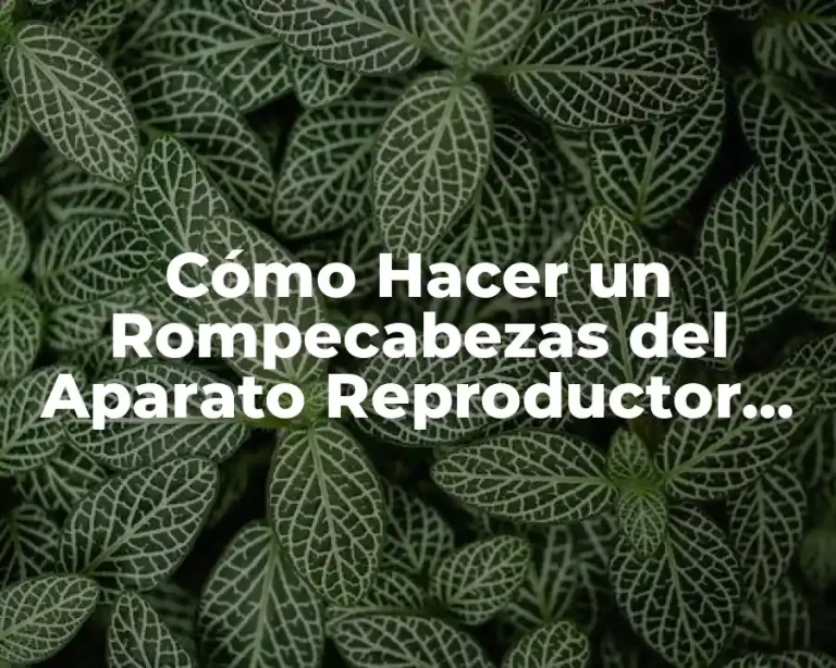 Cómo Hacer un Rompecabezas del Aparato Reproductor Femenino