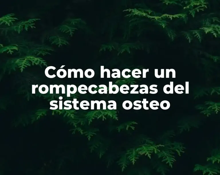Cómo hacer un rompecabezas del sistema osteo
