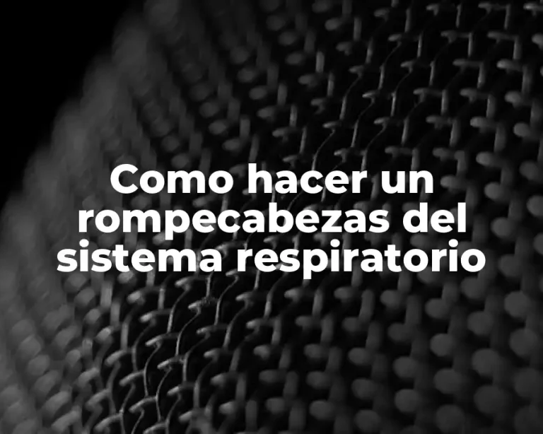 Como hacer un rompecabezas del sistema respiratorio