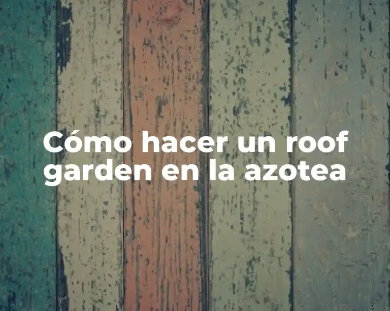 Cómo hacer un roof garden en la azotea