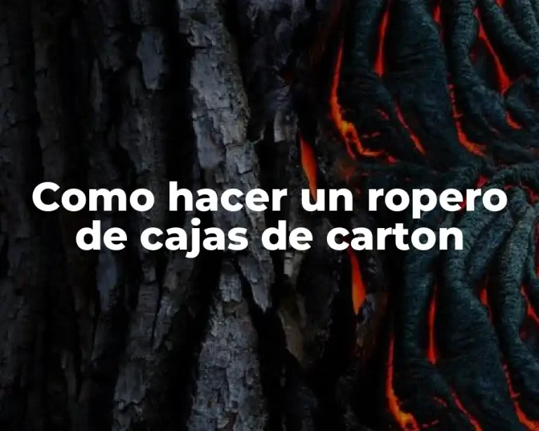 Como hacer un ropero de cajas de carton