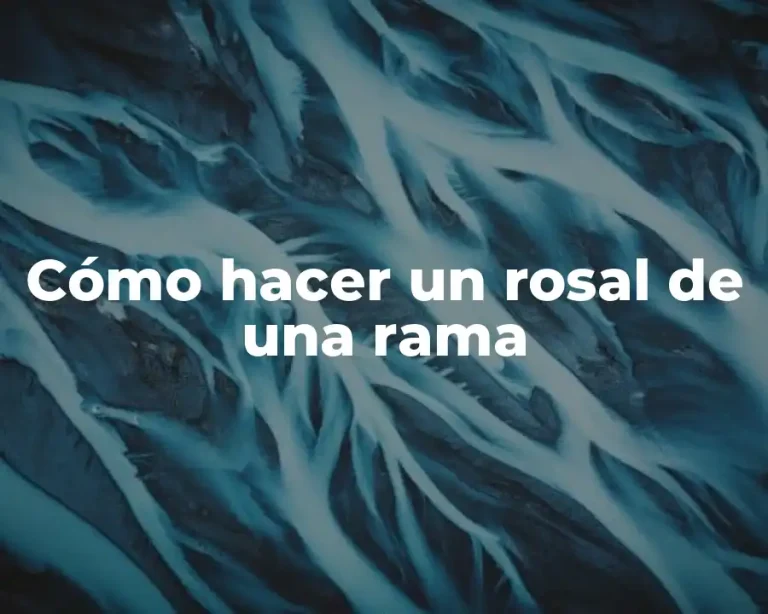 Cómo hacer un rosal de una rama