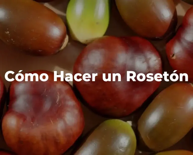 Cómo Hacer un Rosetón