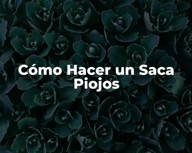 Cómo Hacer un Saca Piojos